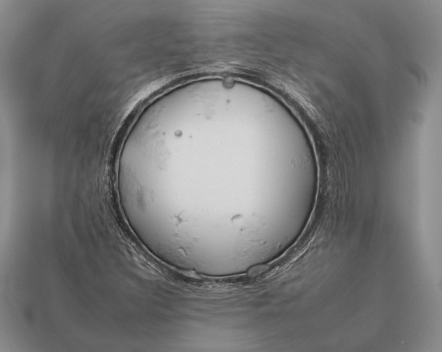 X0000112931308200909211105