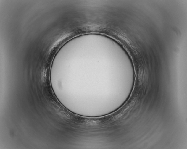 X0000112931309200909211105