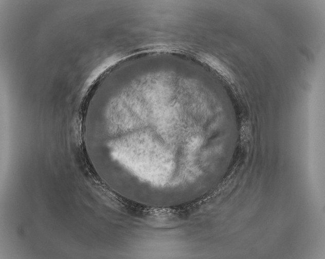 X0000112931310200909211105