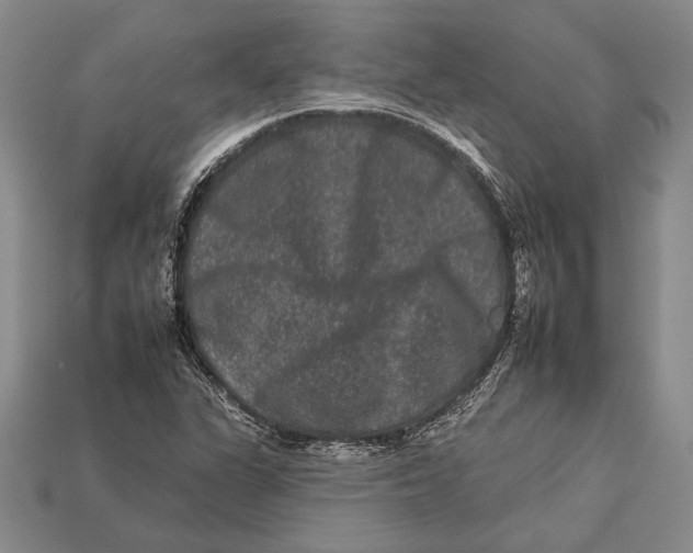 X0000112931311200909211105