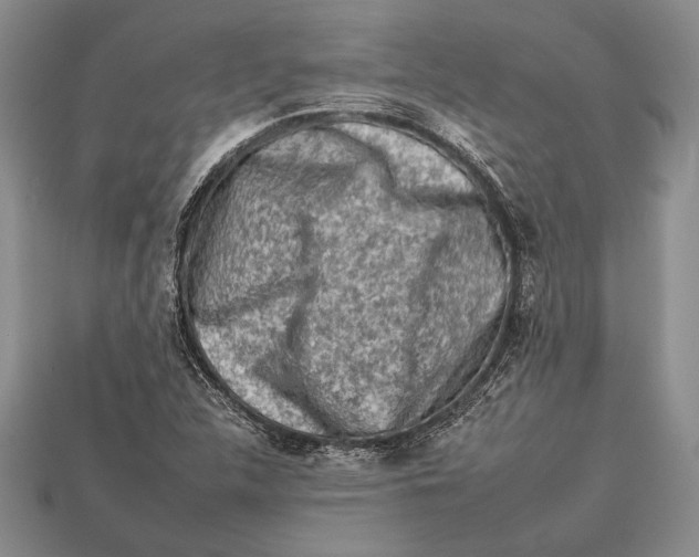 X0000112931312200909211105