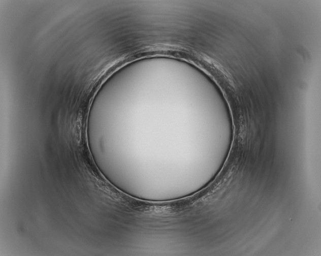 X0000112931313200909211105
