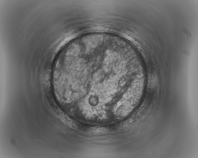 X0000112931314200909211105