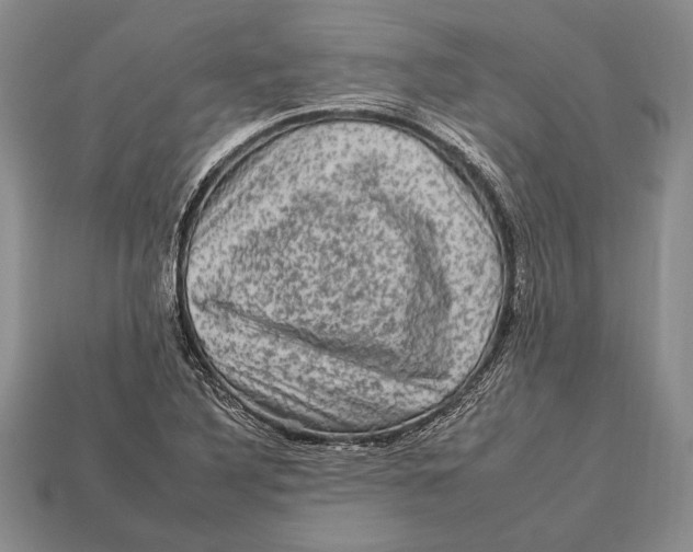 X0000112931316200909211105