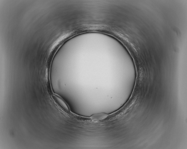 X0000112931317200909211106