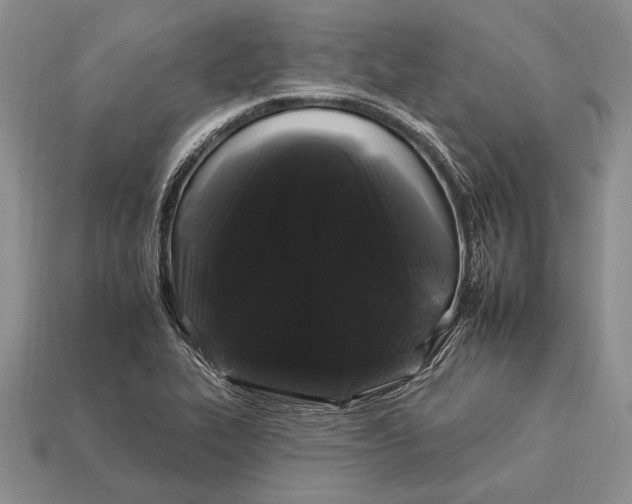 X0000112931319200909211106