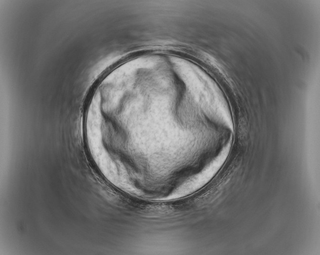 X0000112931320200909211106