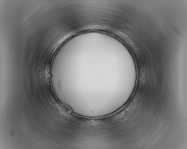 X0000112931321200909211106