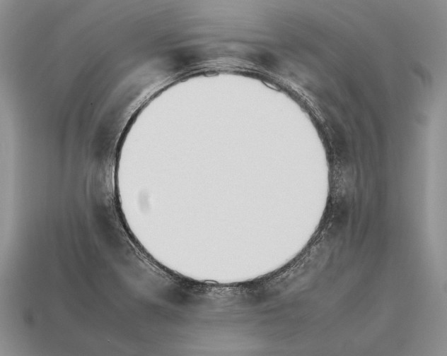 X0000112931322200909211106