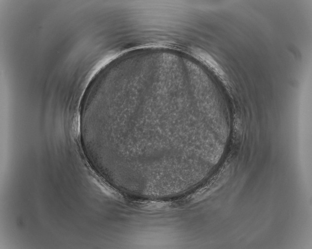 X0000112931324200909211106