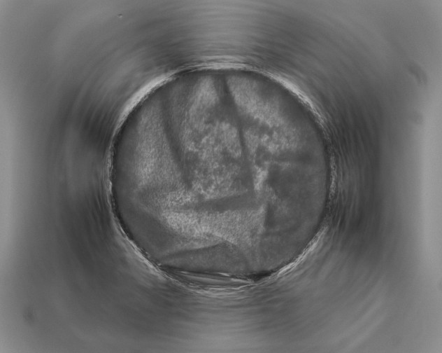 X0000112931325200909211106