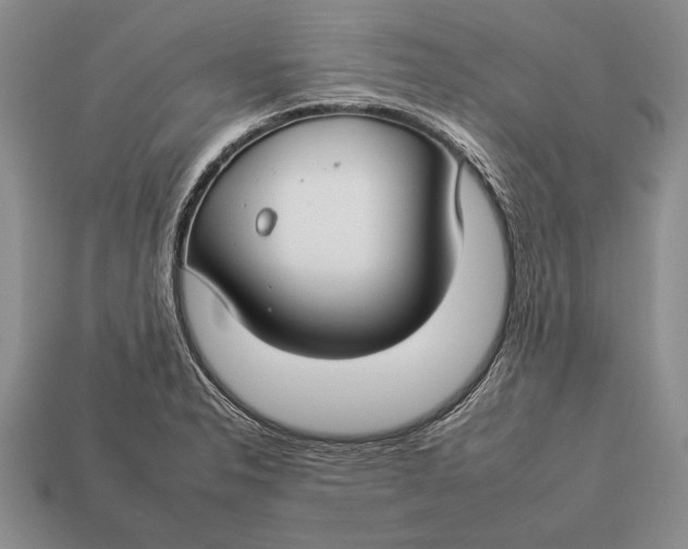 X0000112931326200909211106