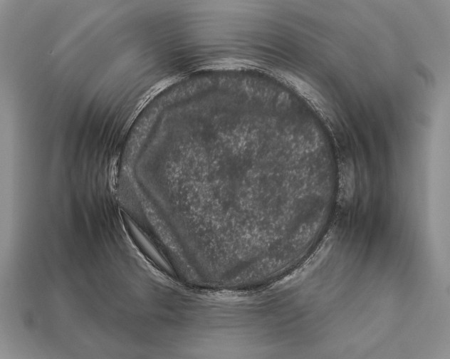 X0000112931329200909211106