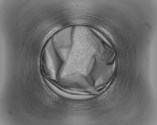 X0000112931330200909211106