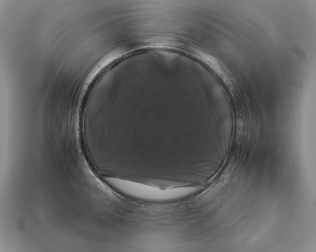 X0000112931331200909211106