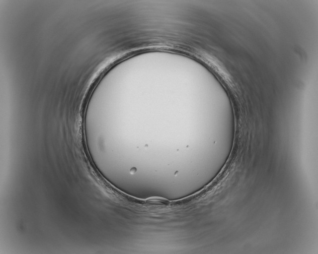 X0000112931332200909211106