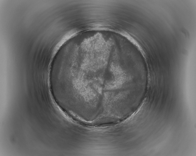 X0000112931333200909211106
