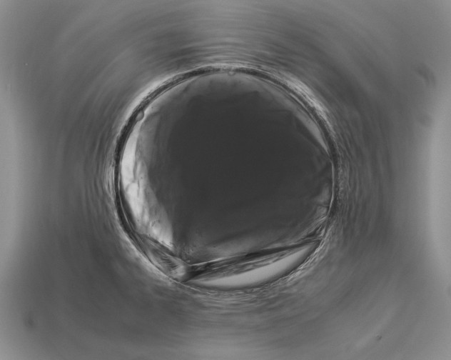 X0000112931334200909211106