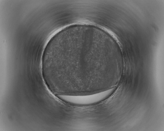X0000112931335200909211106