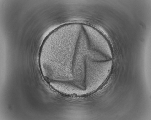 X0000112931336200909211106