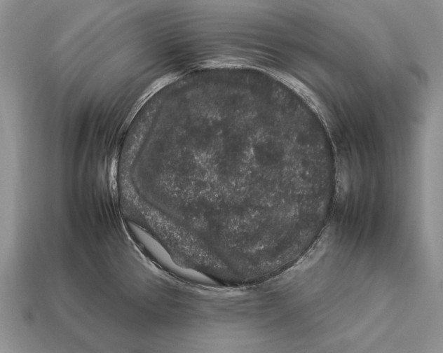 X0000112931337200909211106