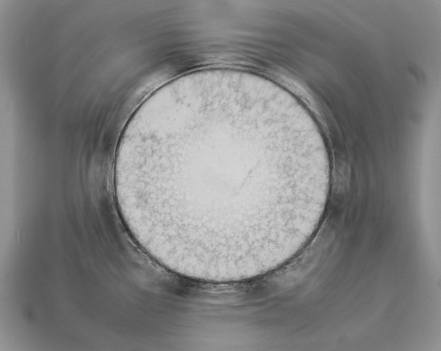 X0000112931338200909211106