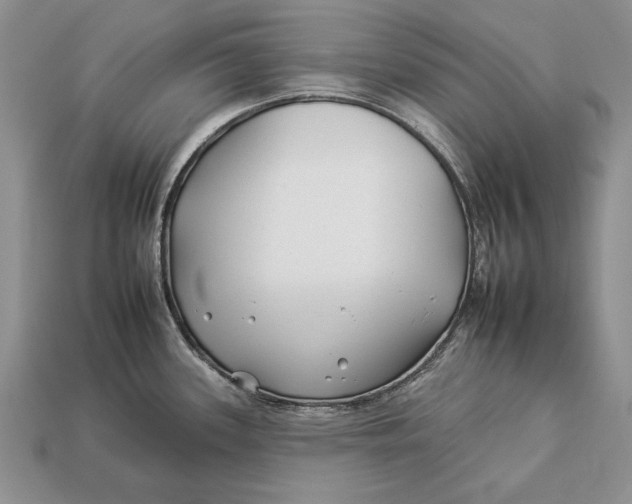 X0000112931339200909211106