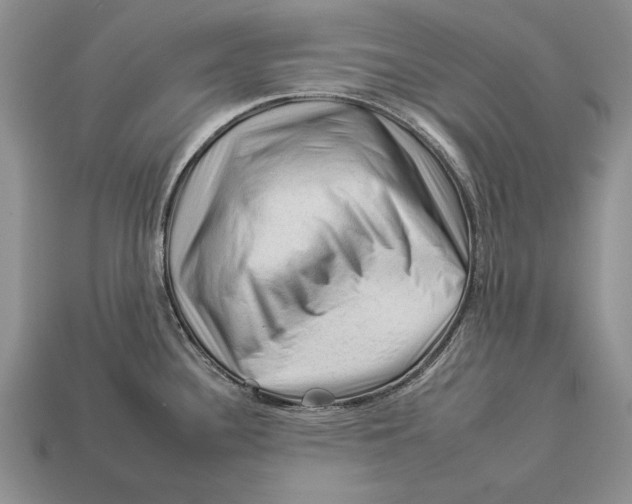 X0000112931340200909211106