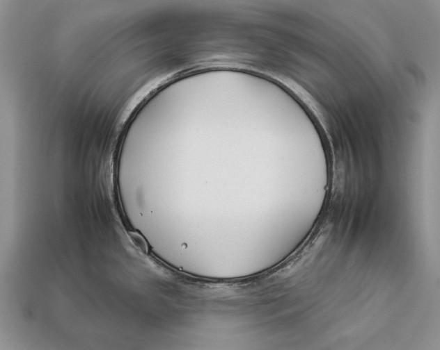 X0000112931341200909211106