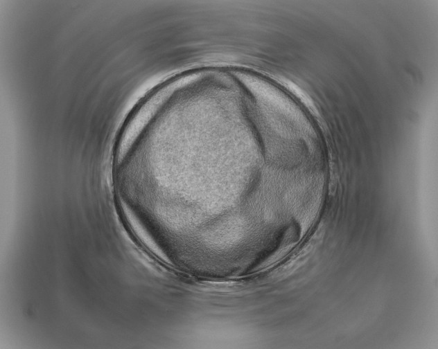 X0000112931342200909211106