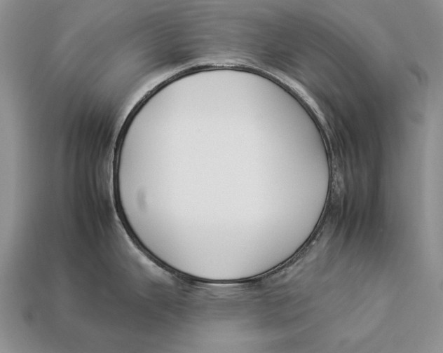 X0000112931343200909211106