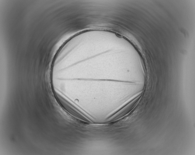 X0000112931344200909211106