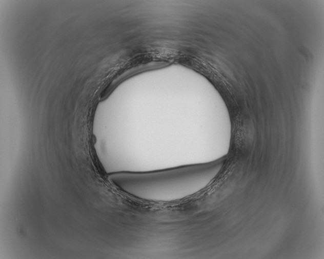 X0000112931345200909211105