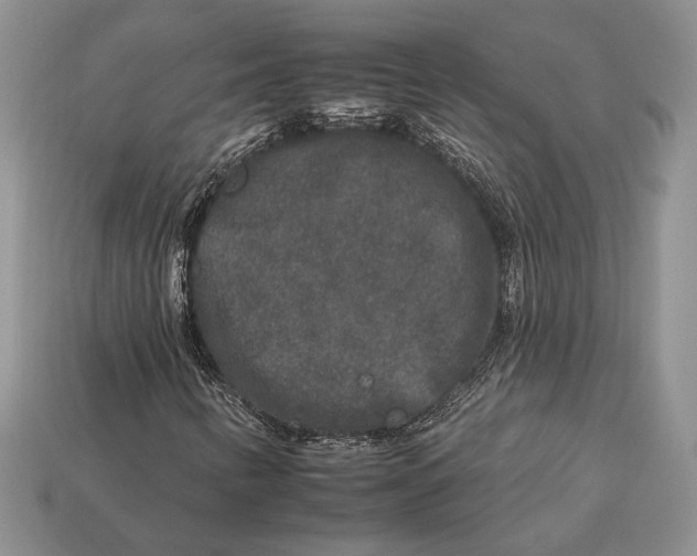 X0000112931346200909211105