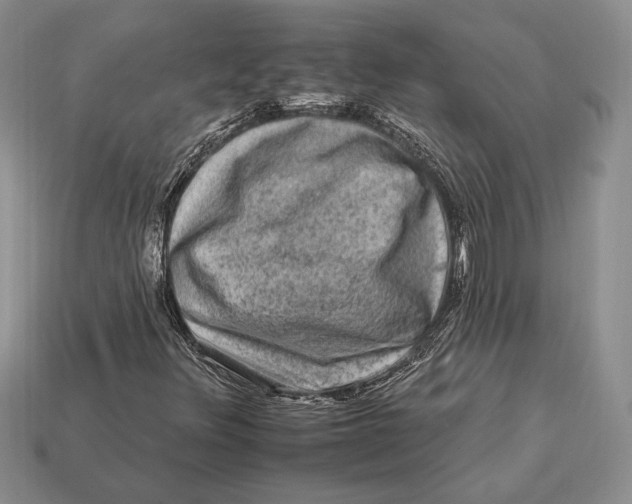 X0000112931348200909211105
