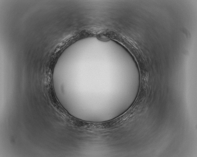 X0000112931349200909211105