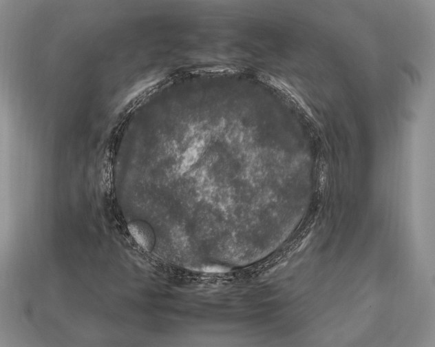 X0000112931350200909211105