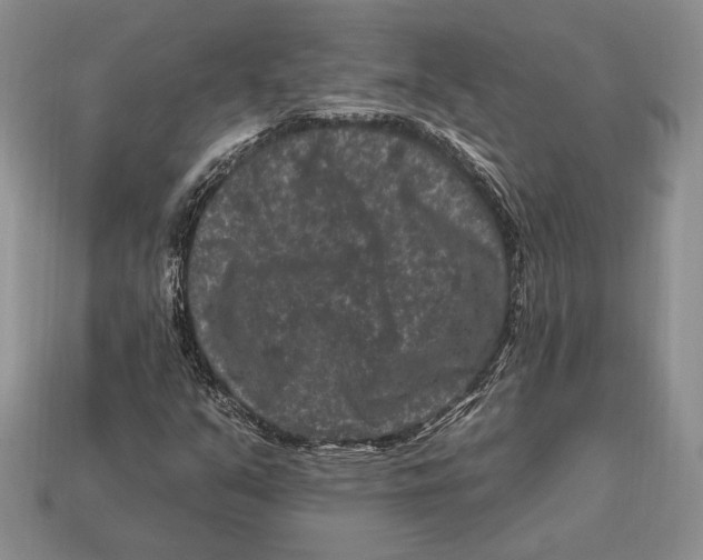 X0000112931351200909211105