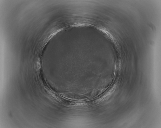 X0000112931353200909211105