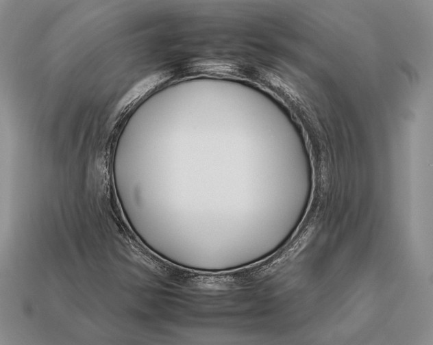 X0000112931354200909211105