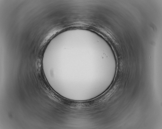 X0000112931355200909211105