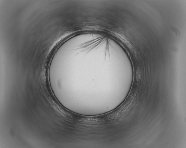 X0000112931356200909211105