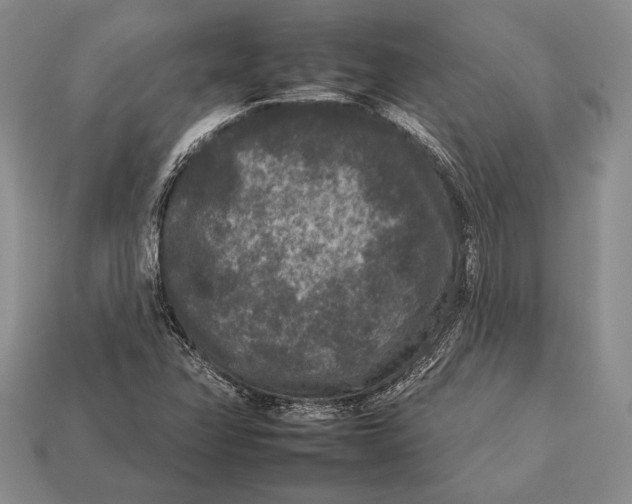 X0000112931358200909211105