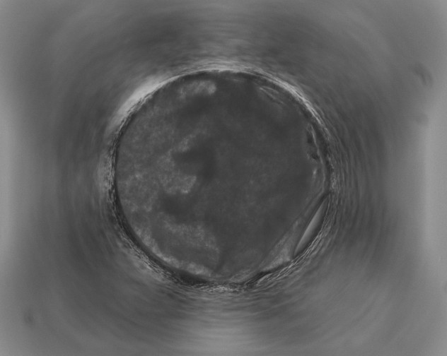 X0000112931359200909211105