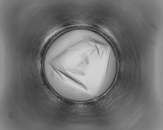 X0000112931360200909211105