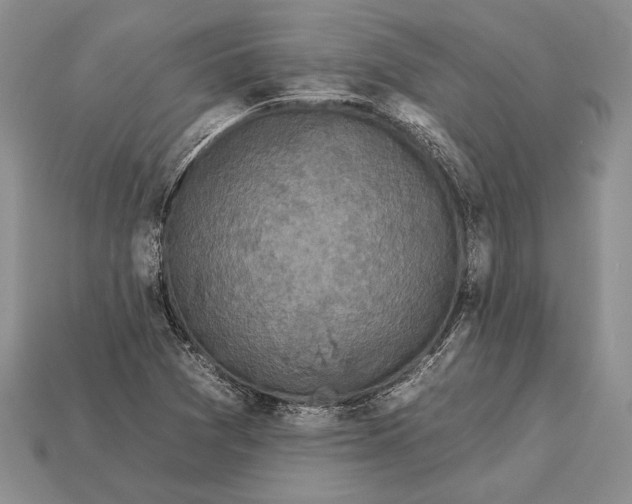 X0000112931361200909211105