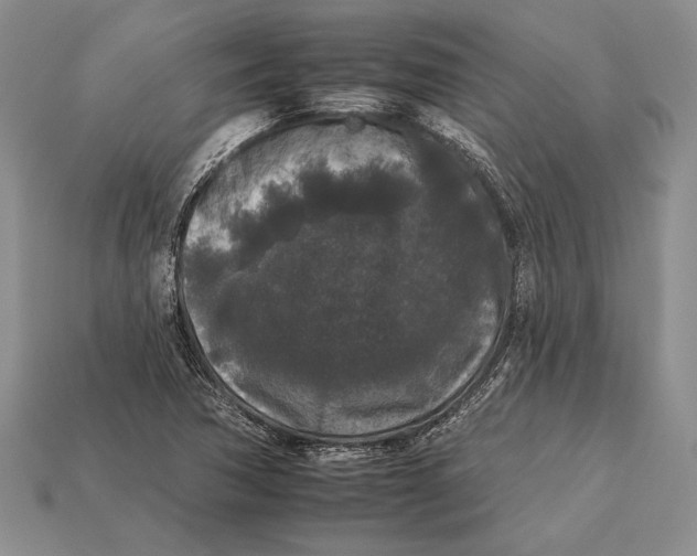 X0000112931362200909211105