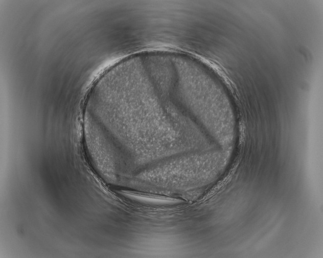 X0000112931363200909211105