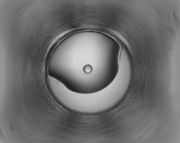 X0000112931364200909211105