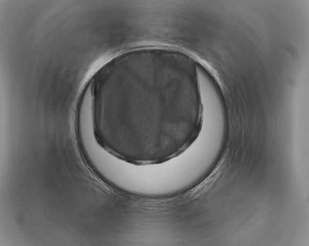 X0000112931365200909211105